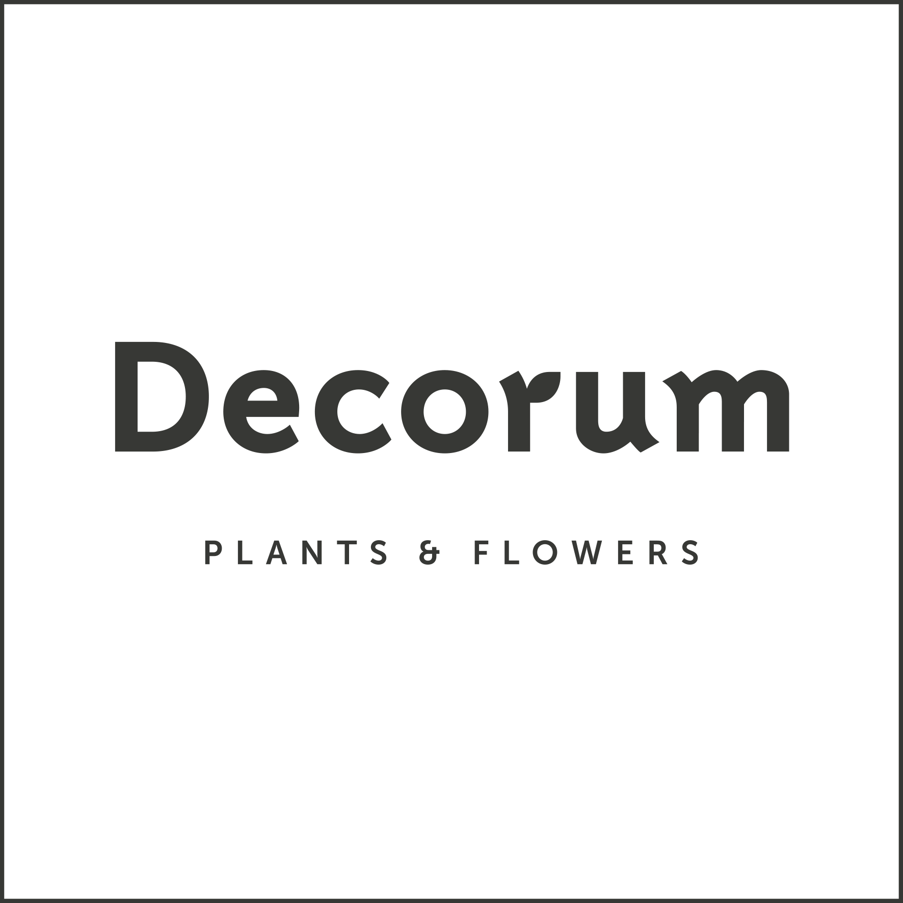 Decorum Plants & Flowers