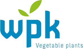WPK Vegetable Plants